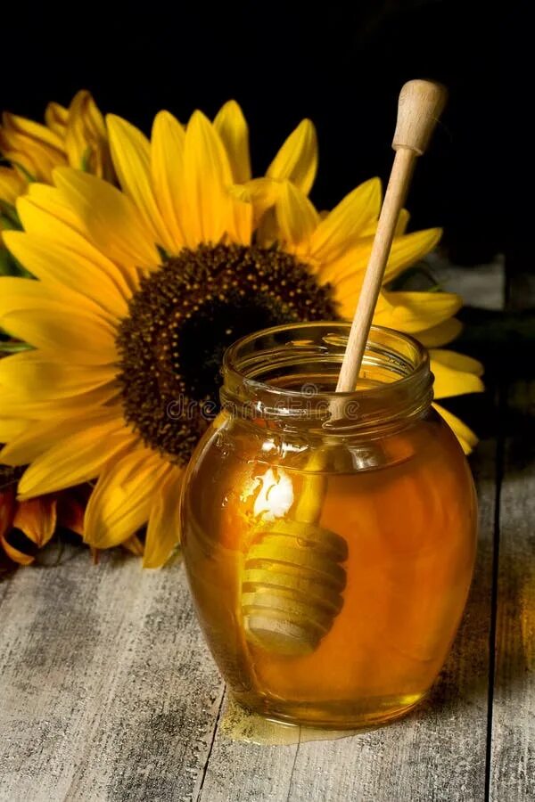 Подсолнечниковый мед фото Honey and Sunflower stock photo. Image of pour, healthy - 56775520