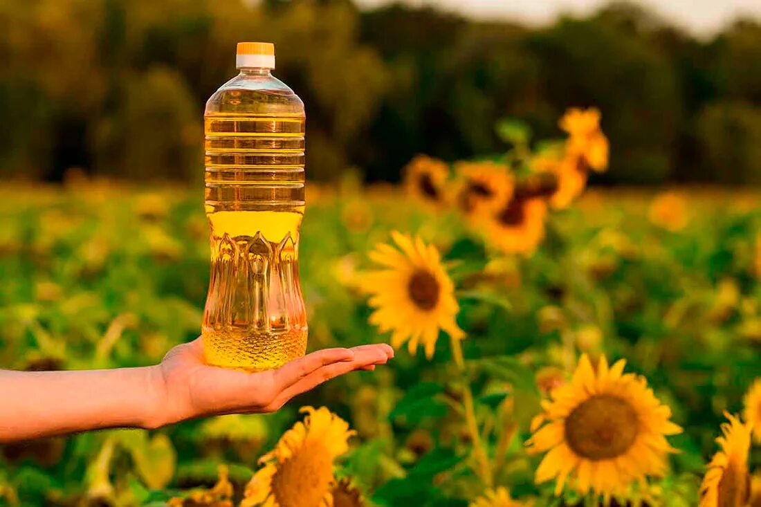 Подсолнечное масло фото Deliveries of sunflower oil from Ukraine decreased by almost 15