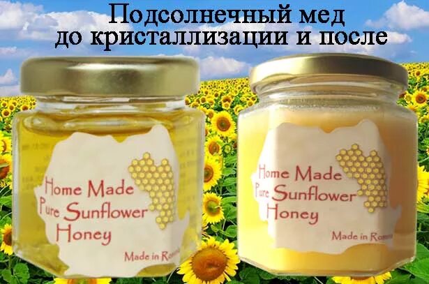 Подсолнечный мед фото и описание Мед с подсолнечника чем полезен eCookie.ru