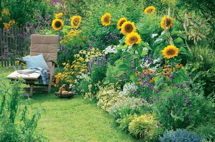 Подсолнух декоративный фото на даче Schnittblumen aus dem Garten Beautiful gardens, Garden planning, Garden inspirat