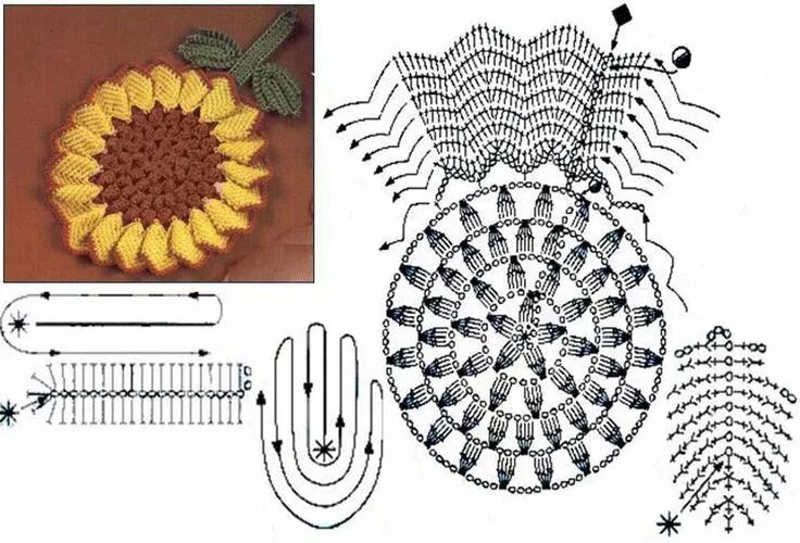 Подсолнух крючком схема Подсолнух Modelli di fiori all'uncinetto, Fiori all'uncinetto, Tutorial per fior