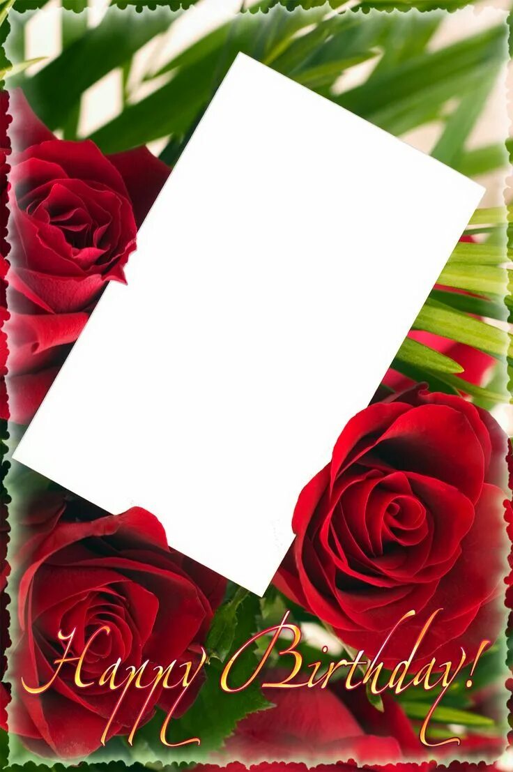 Подставить фото с днем рождения Happy Birthday PNG Frame with Roses Happy birthday png, Happy birthday frame, Ha