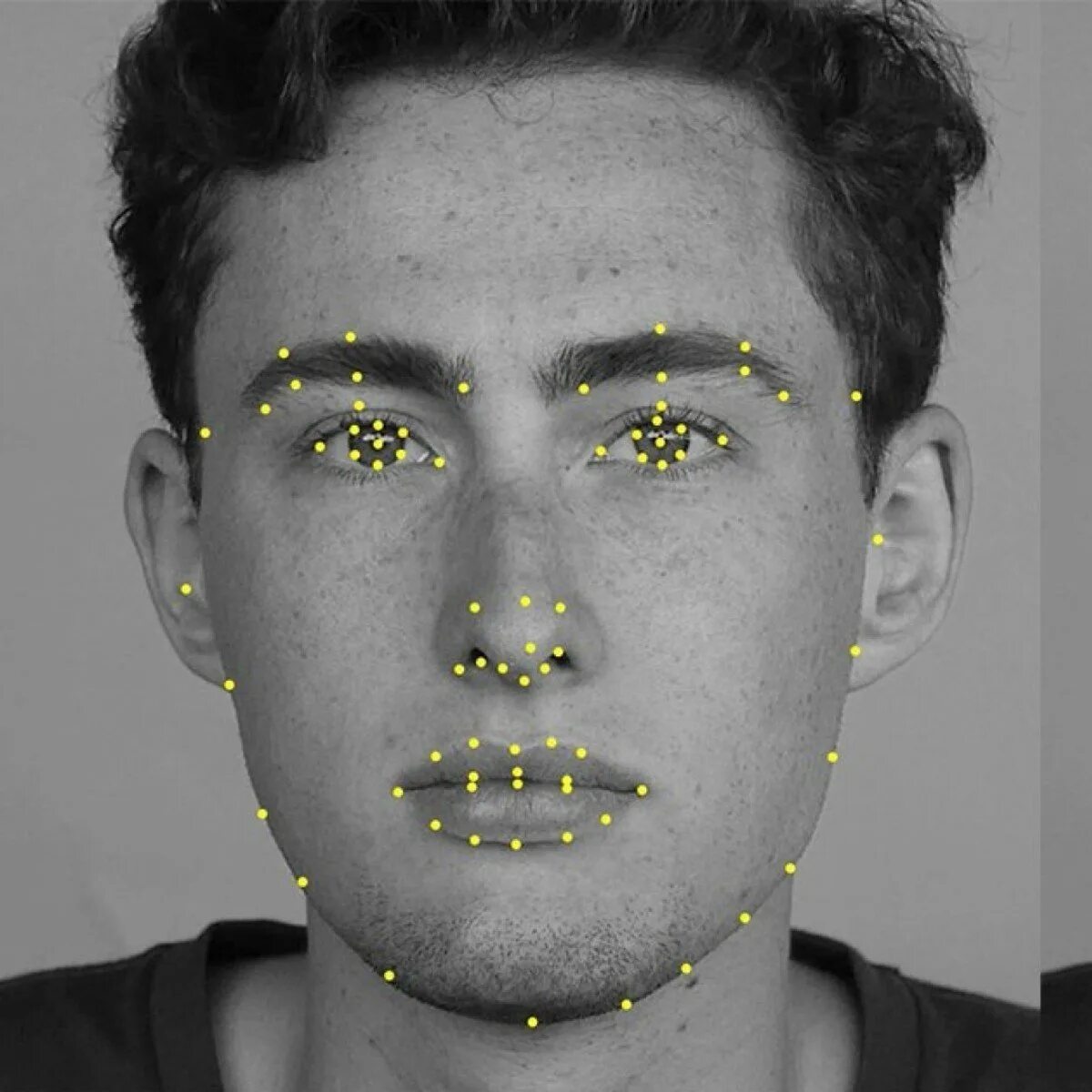 Подставить лицо в фото нейросеть Face recognition models - найдено 89 картинок