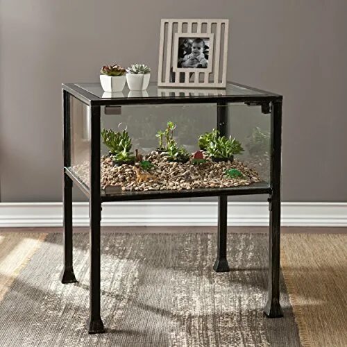 Подставка под аквариум в стиле лофт Terrarium Display End Coffee Table - Glass Display For Plants Offer - BuyMoreCof