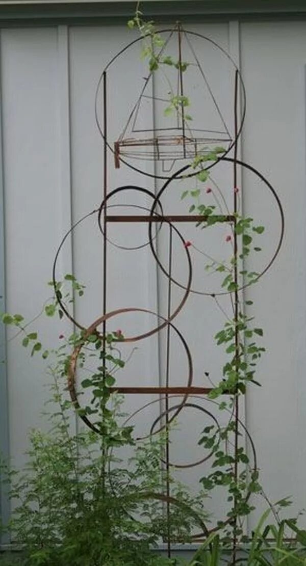 Подставка под клематис фото Pin by Michelle on Small Garden Garden trellis, Garden, Metal trellis