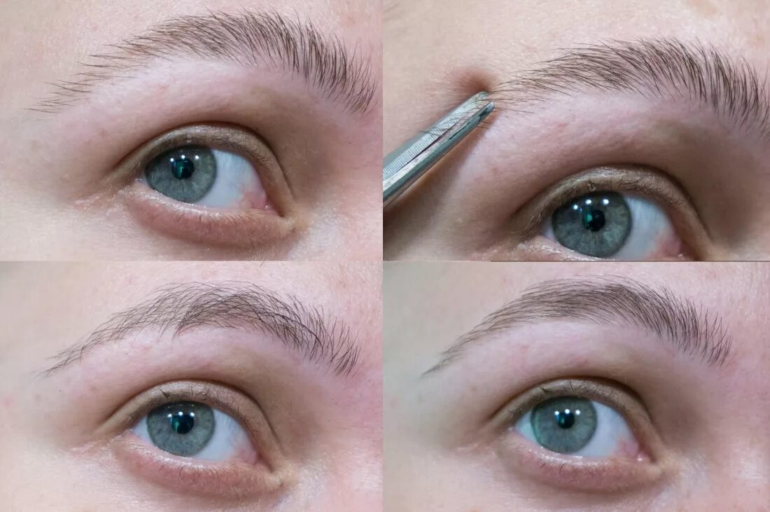 Подстричь брови фото How to: Brow! Как я оформляю брови от выщипывания до фиксации Отзывы покупателей