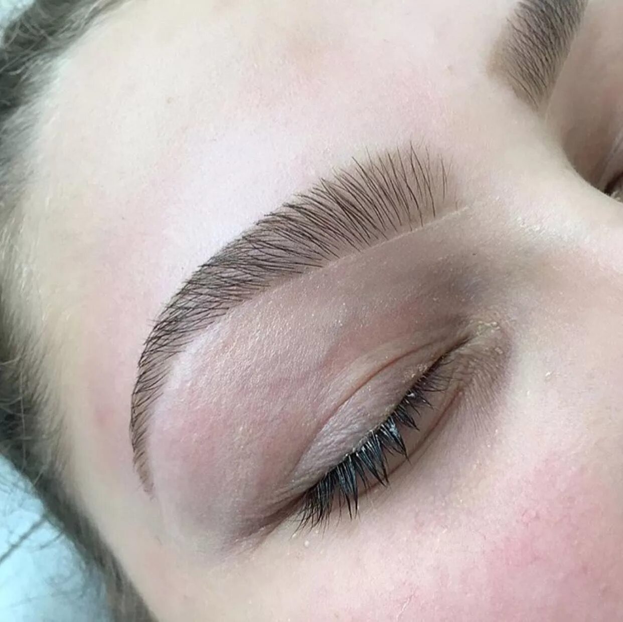 Подстричь брови фото @αυυυвreyтαтe ☾ ♡ Eyebrow makeup, Perfect eyebrows, Microblading eyebrows