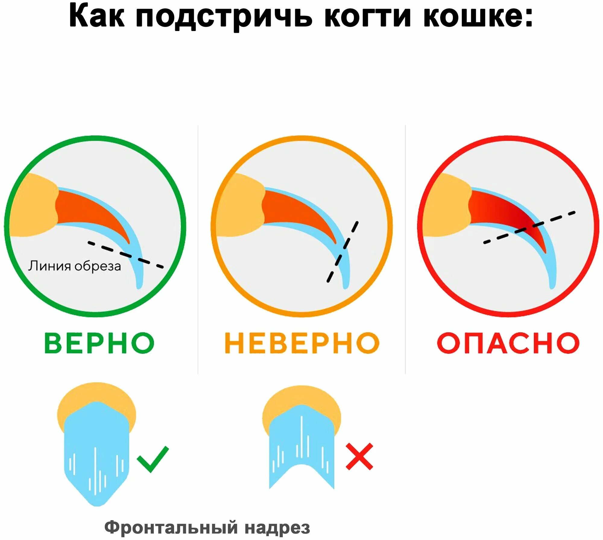 Подстричь когти кошке фото Когтерез для кошек и собак (с ограничителем) - купить в интернет-магазине по низ