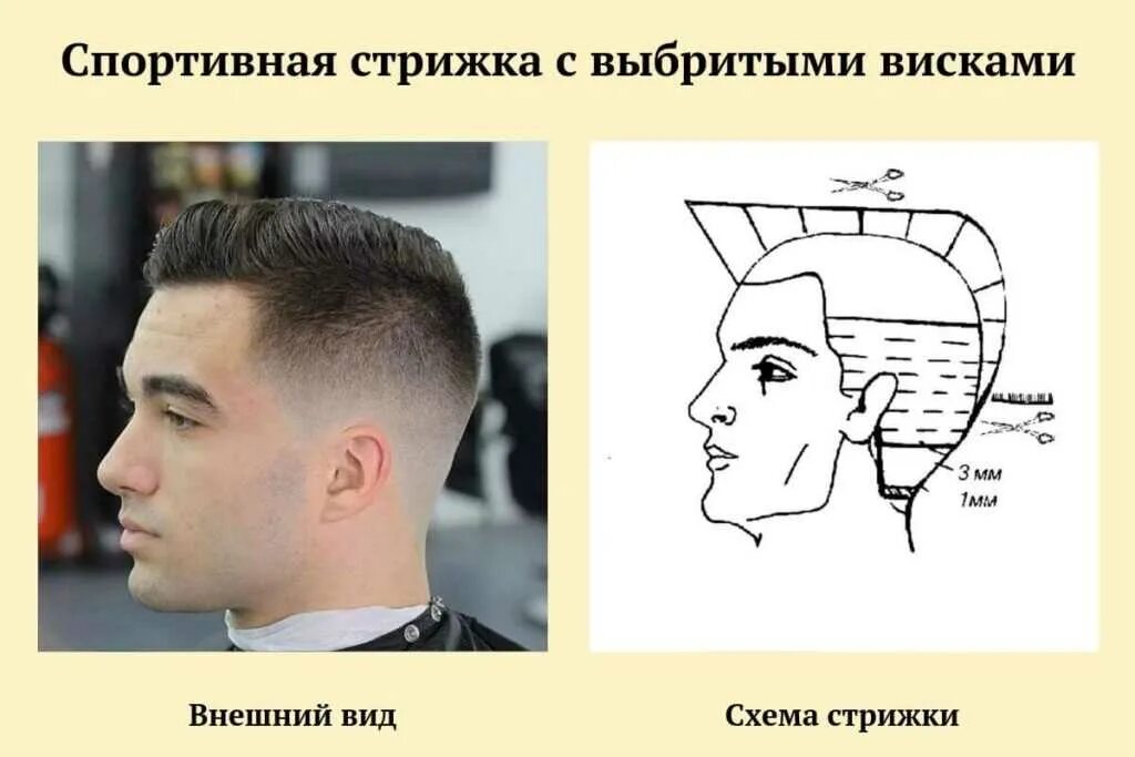 Подстричь мужскую стрижку модельную Стрижка теннис- техники выполнения, способы укладки