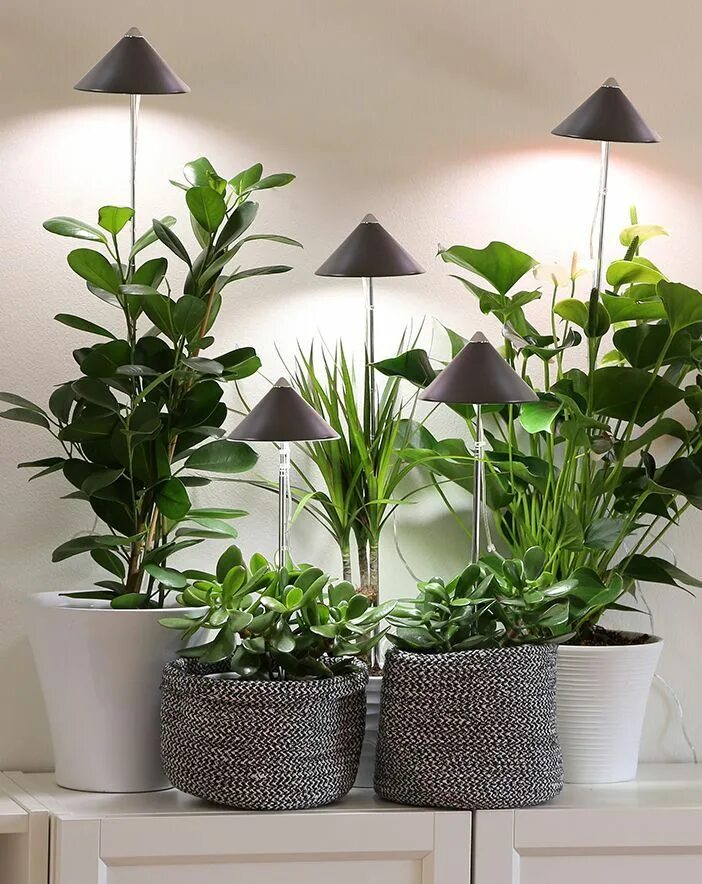 Подсветка для цветов в интерьере SunLite led-växtlampa, grå - Kivikangas Balcony flowers, Garden plants, Patio ga