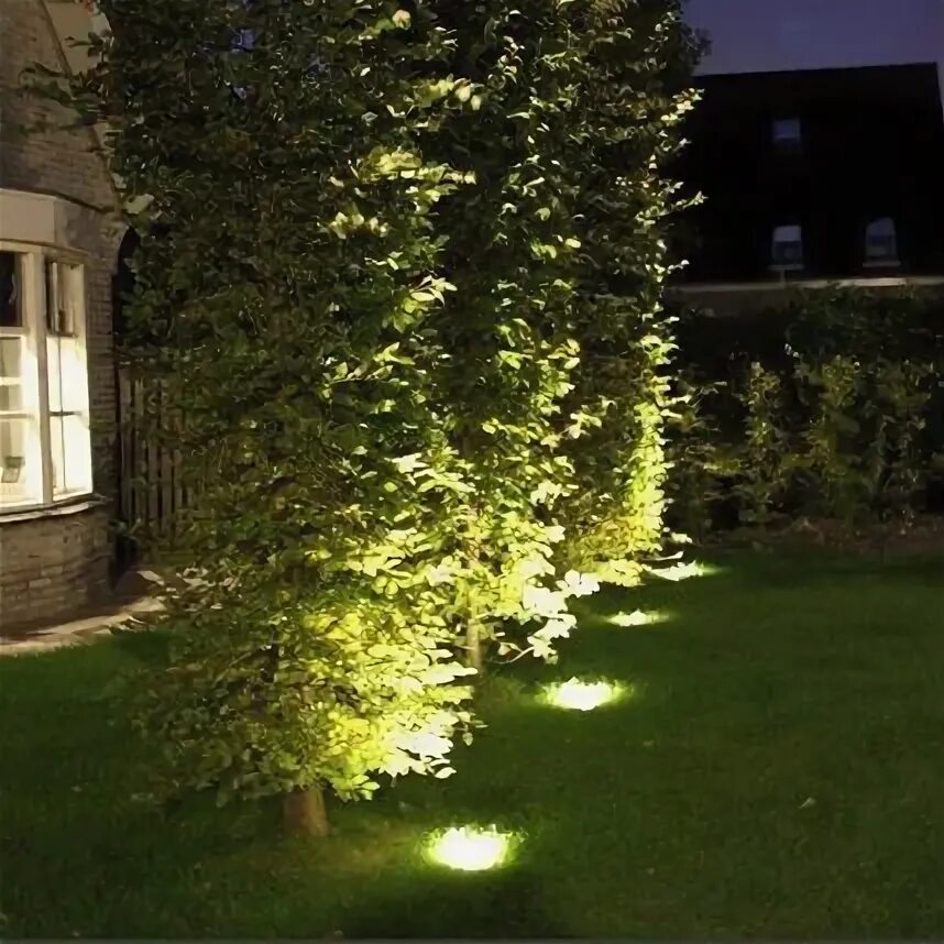 Подсветка сосен на участке фото Hedge uplights Outdoor landscape lighting, Landscape lighting design, Landscape 