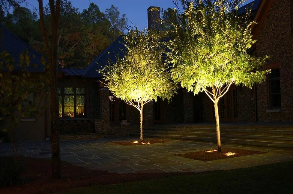 Подсветка сосен на участке фото Landscape & Exterior Lighting Landscape lighting design, Garden lighting design,