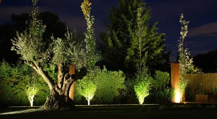 Подсветка сосен на участке фото Cómo iluminar el jardín? Tips para mejorar las noches del lugar preferido de tu 