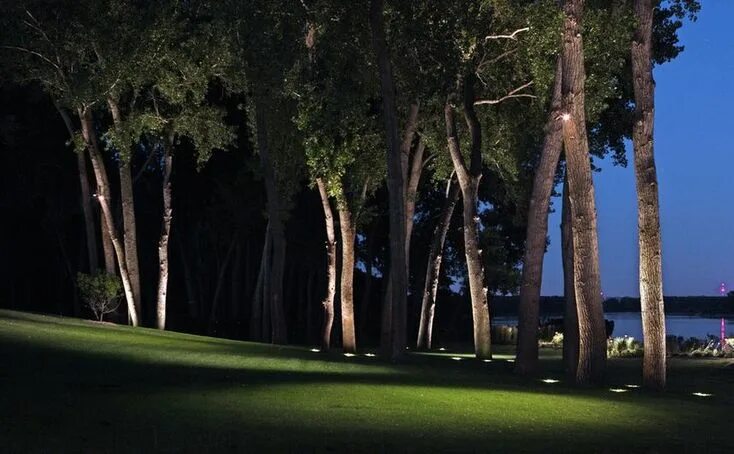 Подсветка сосен на участке фото How You Can Use Outdoor Lighting To Highlight Your Landscape Landscape lighting,