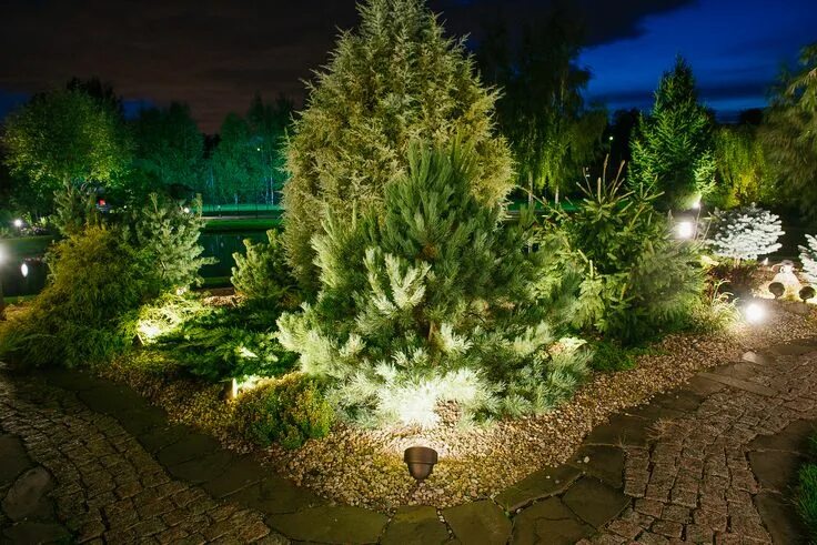 Подсветка сосен на участке фото Garden project 2015 by Belisama Lighting Подсветка деревьев, Идеи для садового д