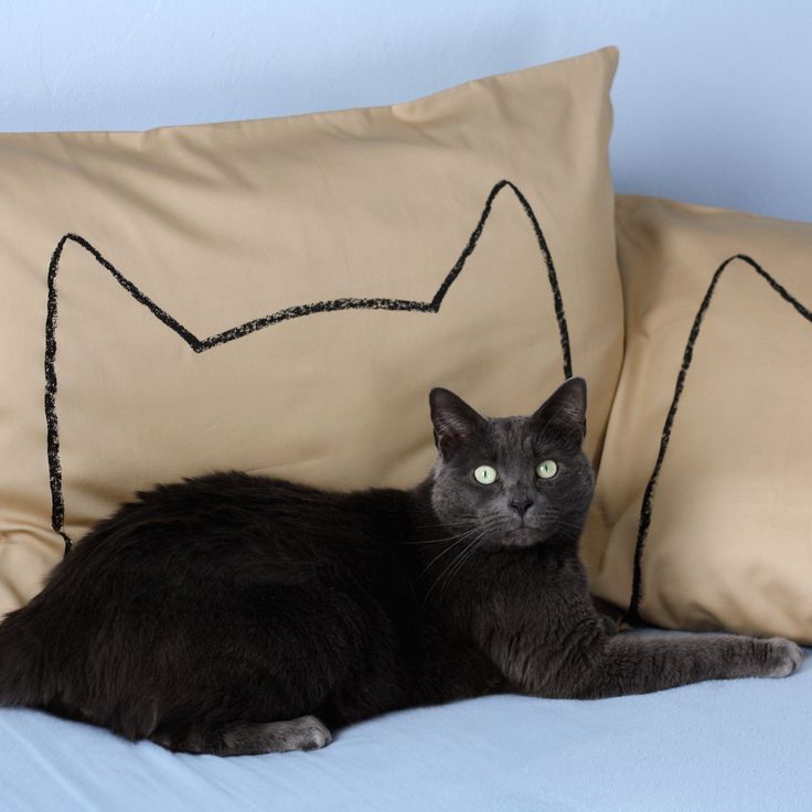 Подушка по фото кота Cat Nap Pillowcases - Set of 2 Наволочки, Котята и Подушки