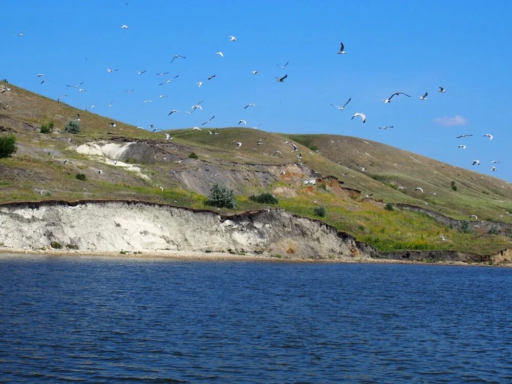 Подвалье самарская область фото Вода, горы и комфорт. Открылся глэмпинг-парк близ памятника природы Подвальские 