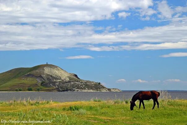 Подвалье самарская область шигонский район фото Гора Ильинка, Подвалье, Шигонский район, Самарская область (53 ° 41'44"N 48 ° 50