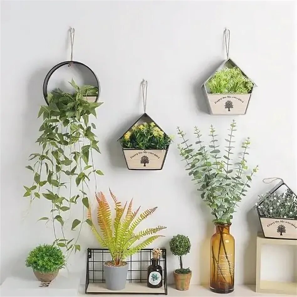 Подвесной декор на стену 21 Garden ideas in 2021 plant wall, plants, succulent wall