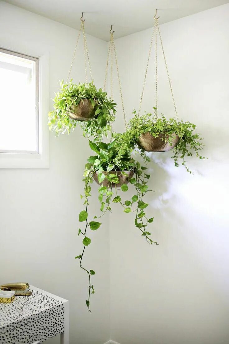 Подвесной декор на стену Diy planten in het Beneden toilet hangend onder de trap #bathroomplants Diy hang