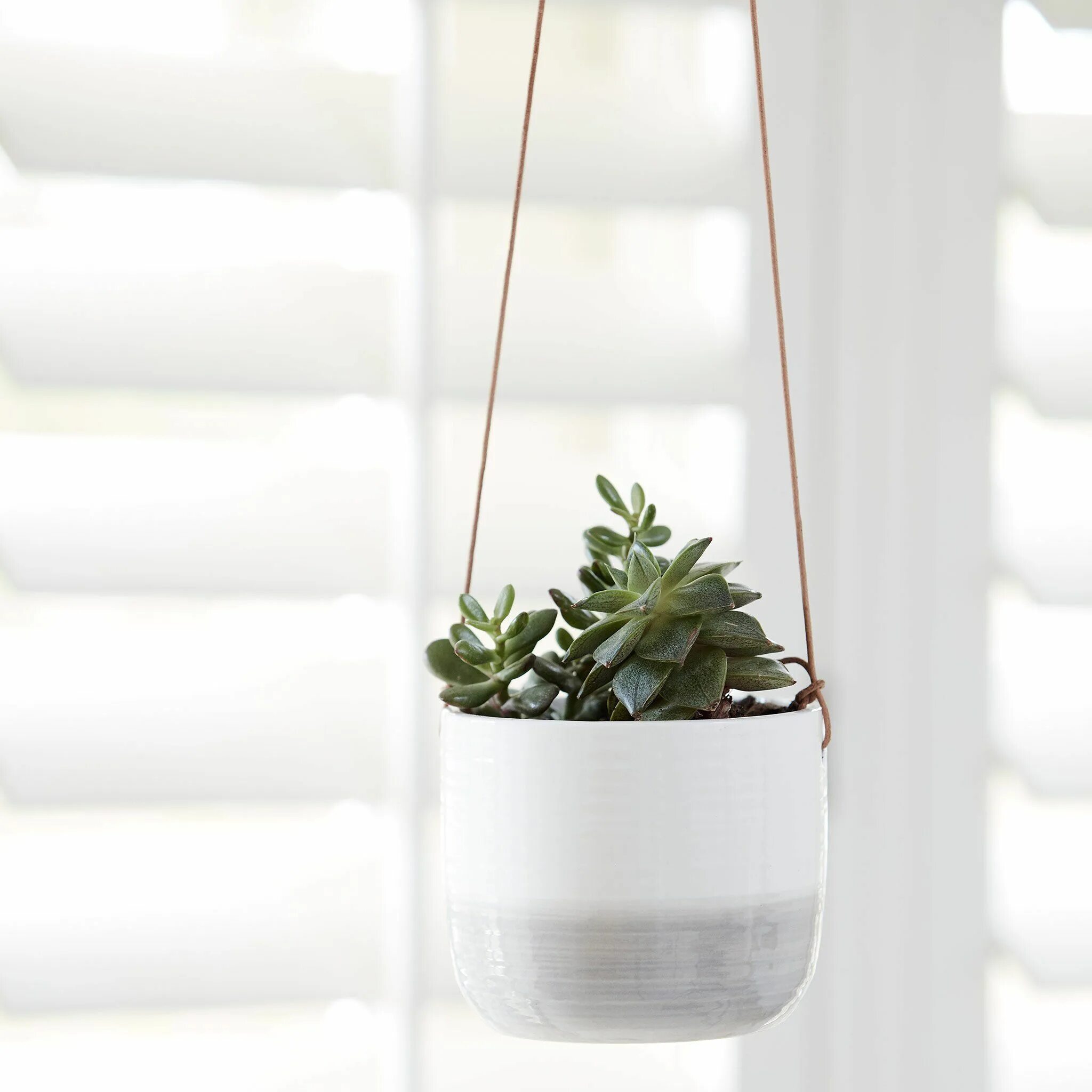 Подвесные горшки фото Ripple Hanging Indoor Pot Hanging planters indoor, House plants indoor, Hanging 