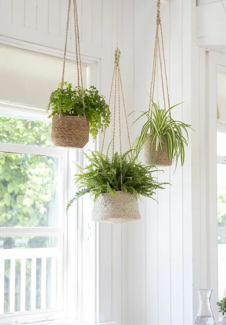 Подвесные горшки фото Our woven hanging pots in three shapes planted with eye catching greenery. Hangi