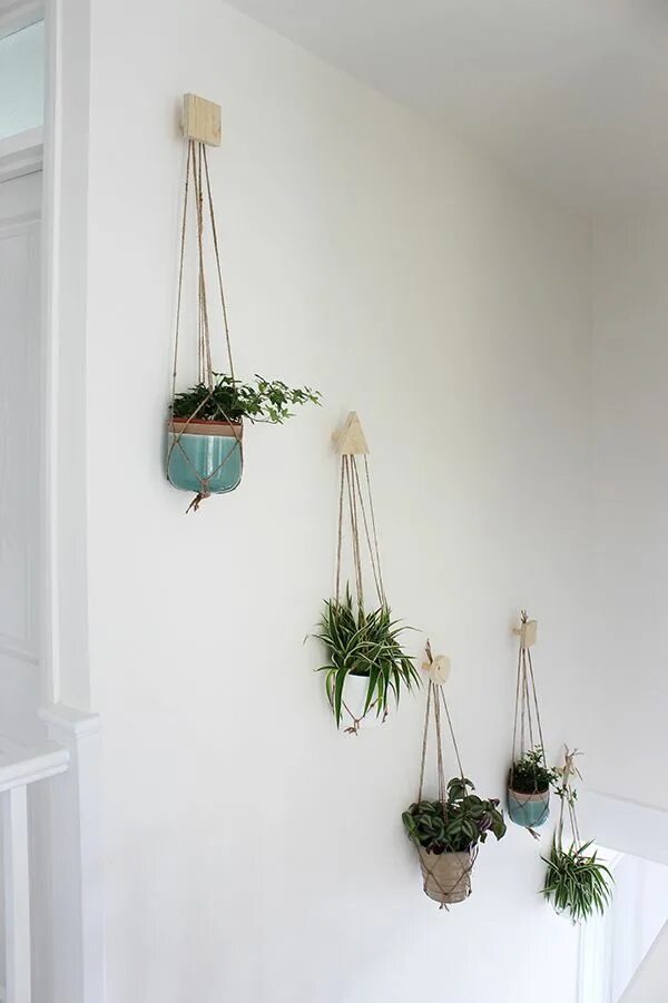 Подвесные стены фото How to create a wall of plants - Growing Spaces Decoracion plantas, Decoración d