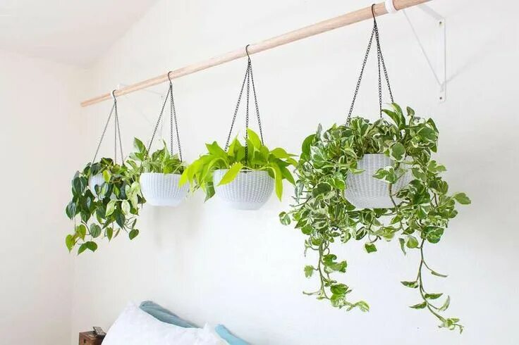 Подвесные стены фото Оригинальные изголовья Hanging plants indoor, Hanging plants, House plants indoo