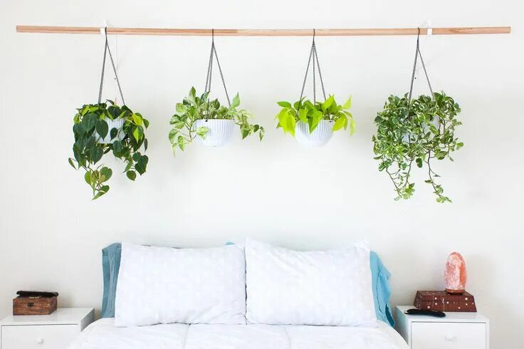 Подвесные стены в интерьере Hanging Plant Headboard Hanging plants, Hanging plants diy, Headboard