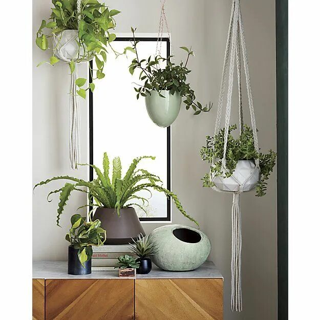 Подвесные цветы в интерьере Macramé Plant Holder + Reviews Plant holders, Hanging plants, Macrame plant hold