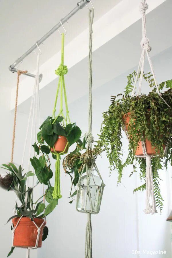 Подвесные цветы в интерьере 30s Magazine Hanging plants indoor, Hanging plants, Indoor plants