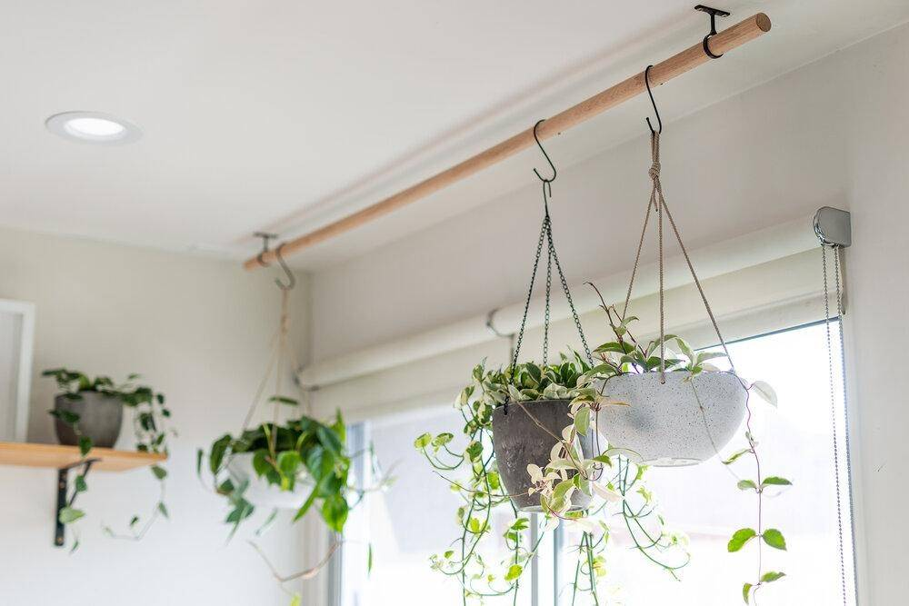 Подвесные цветы в интерьере 13 Hanging Planter Ideas To Bring Beauty To Any Space Hanging plants indoor, Han