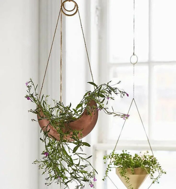 Подвесные цветы в интерьере 38 Home Products From Urban Outfitters You'll Want To Buy ASAP Decoration plante