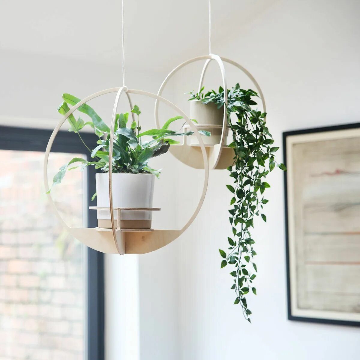 Подвесные цветы в интерьере Wooden Plant hanger - Circle - Nick James Design House plant hanger, Plant decor