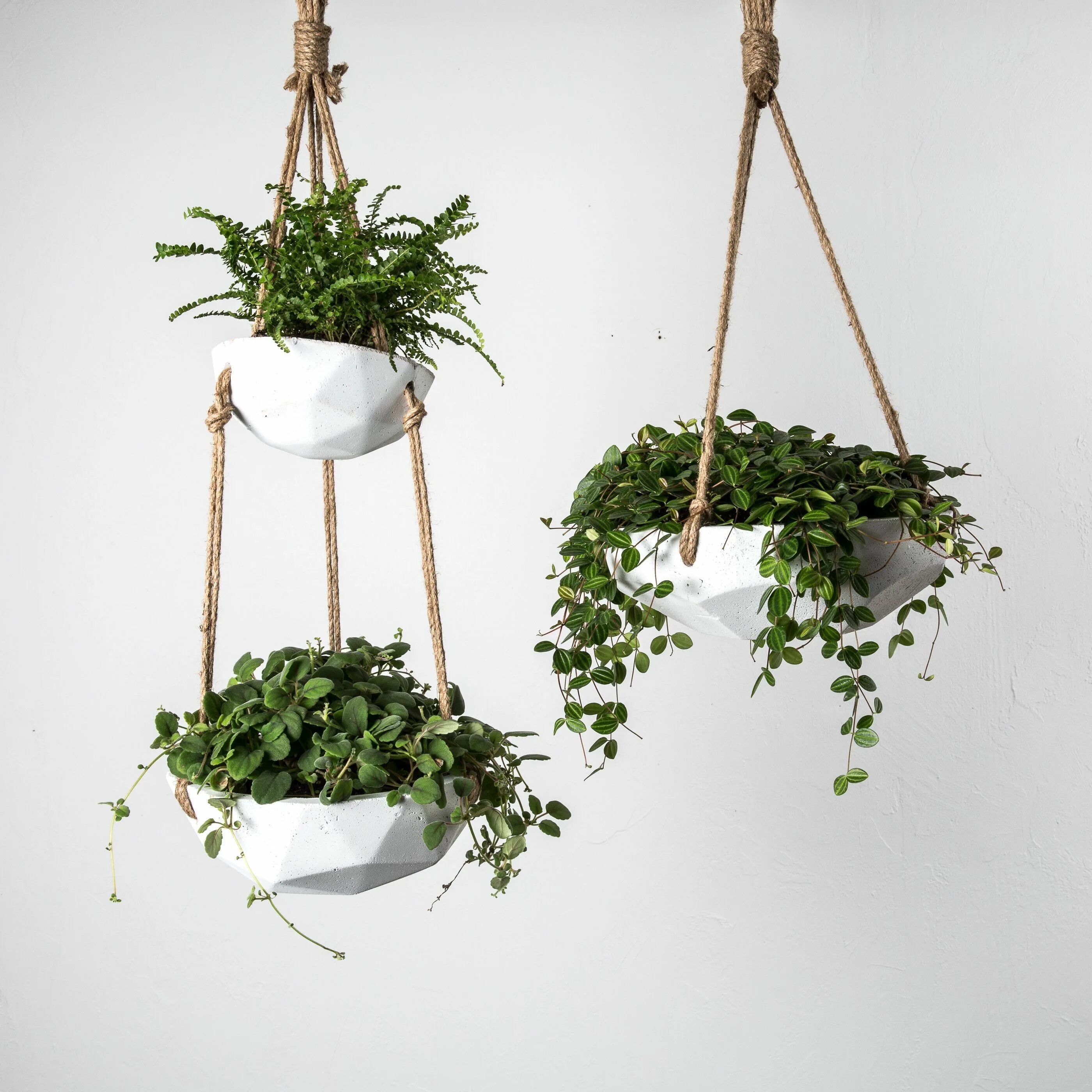 Подвесные цветы в интерьере Arden Hanging Planter - Magnolia Market Joanna & Chip Gaines Hanging plants indo