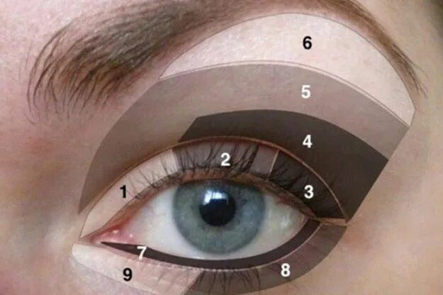 Подвижное веко фото Get acquainted with the different areas of your eye when it comes to makeup. App