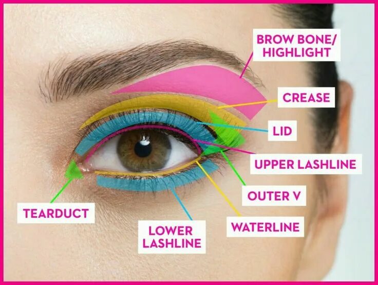 Подвижное веко где это фото Application for eye makeup made simple for beginners Eye makeup guide, Eye makeu