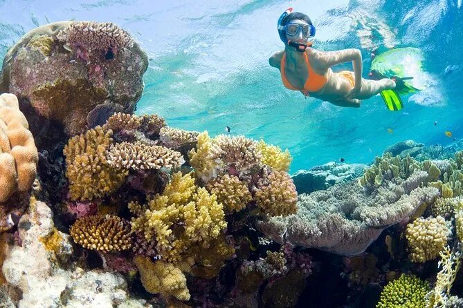 Подводные фото красного моря Catalina Island Snorkel Excursion from Punta Cana 2023