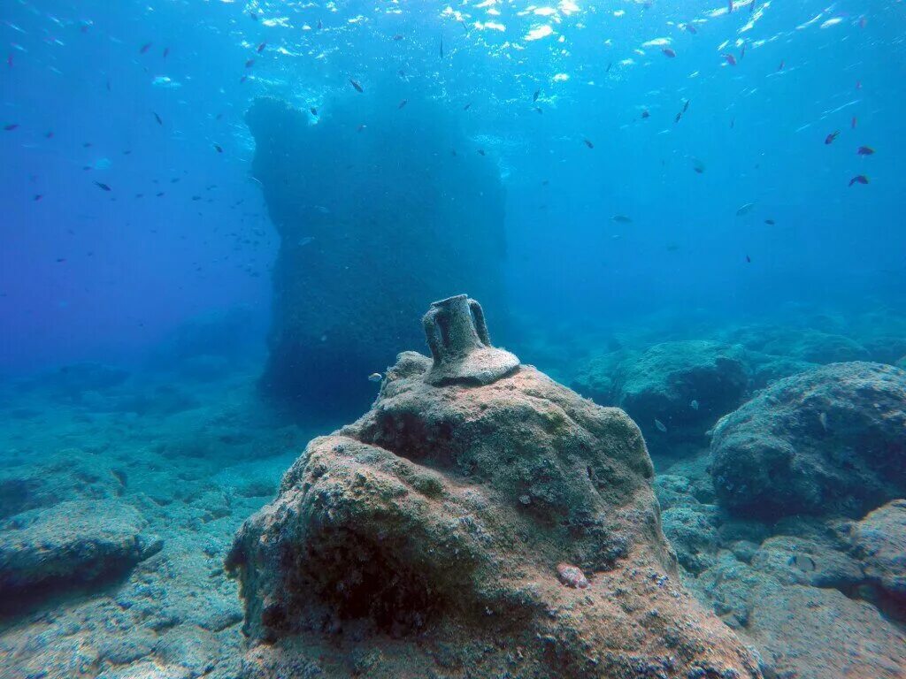 Подводные фото крыма Что скрывают воды Чёрного моря Русское географическое общество Дзен