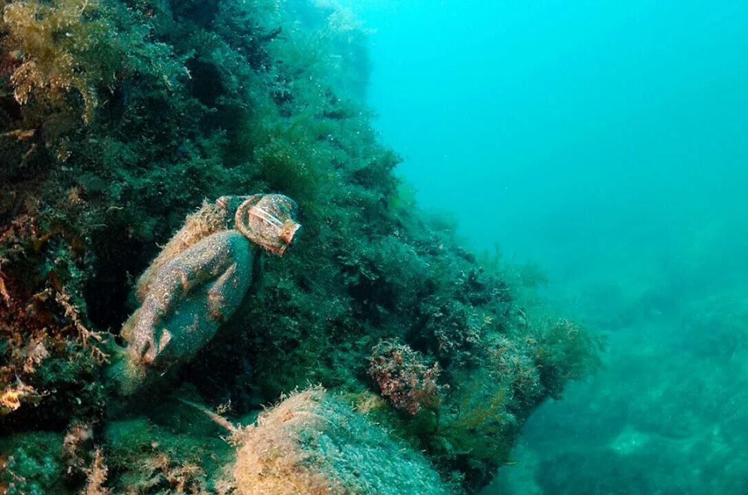 Подводные фото крыма У самого Черного моря