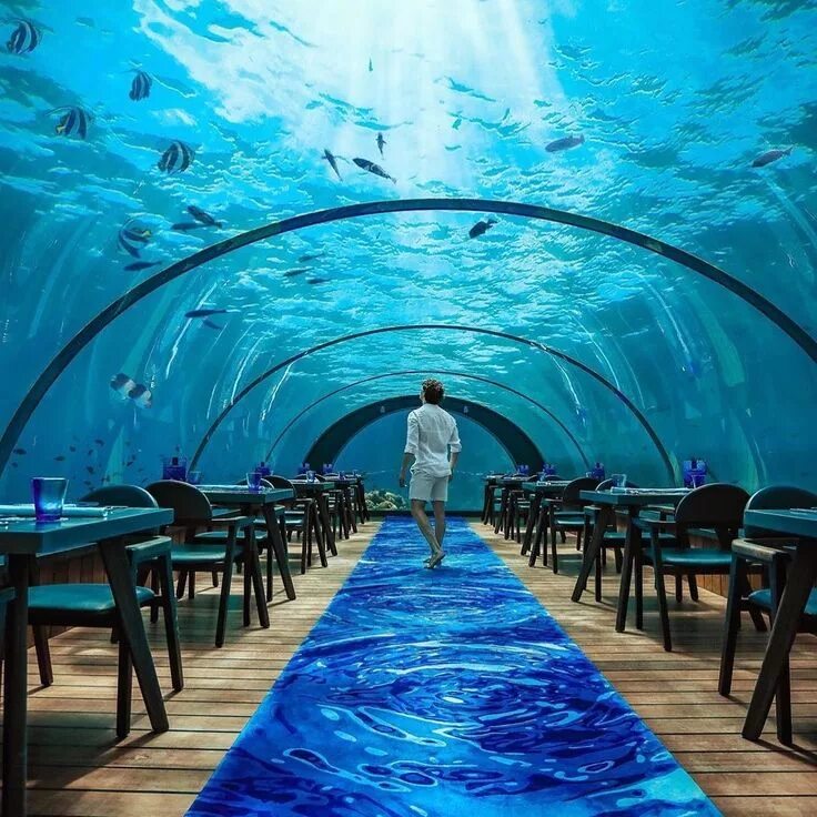 Подводный ресторан на мальдивах фото The Reef Restaurant Unterwasserwelt, Unterwasser, Welt