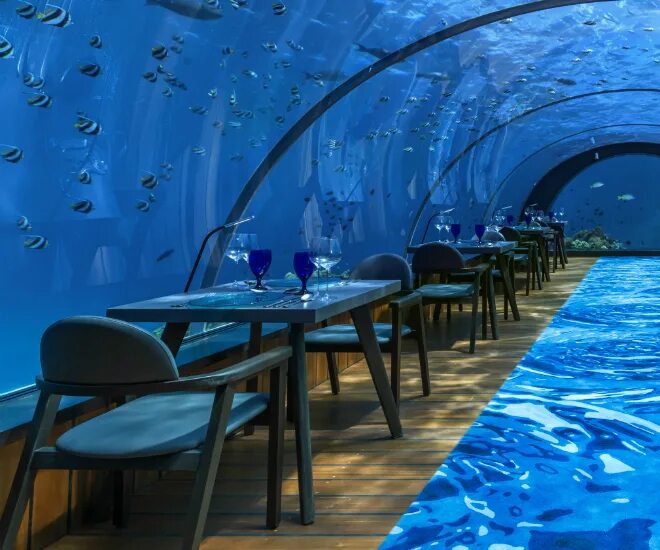 Подводный ресторан на мальдивах фото Maldives' All-Glass Undersea Restaurant And Yoga Venue - LUXUO