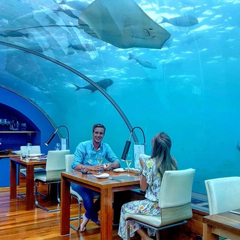 Подводный ресторан на мальдивах фото Ithaa undersea restaurant мальдивы презентация