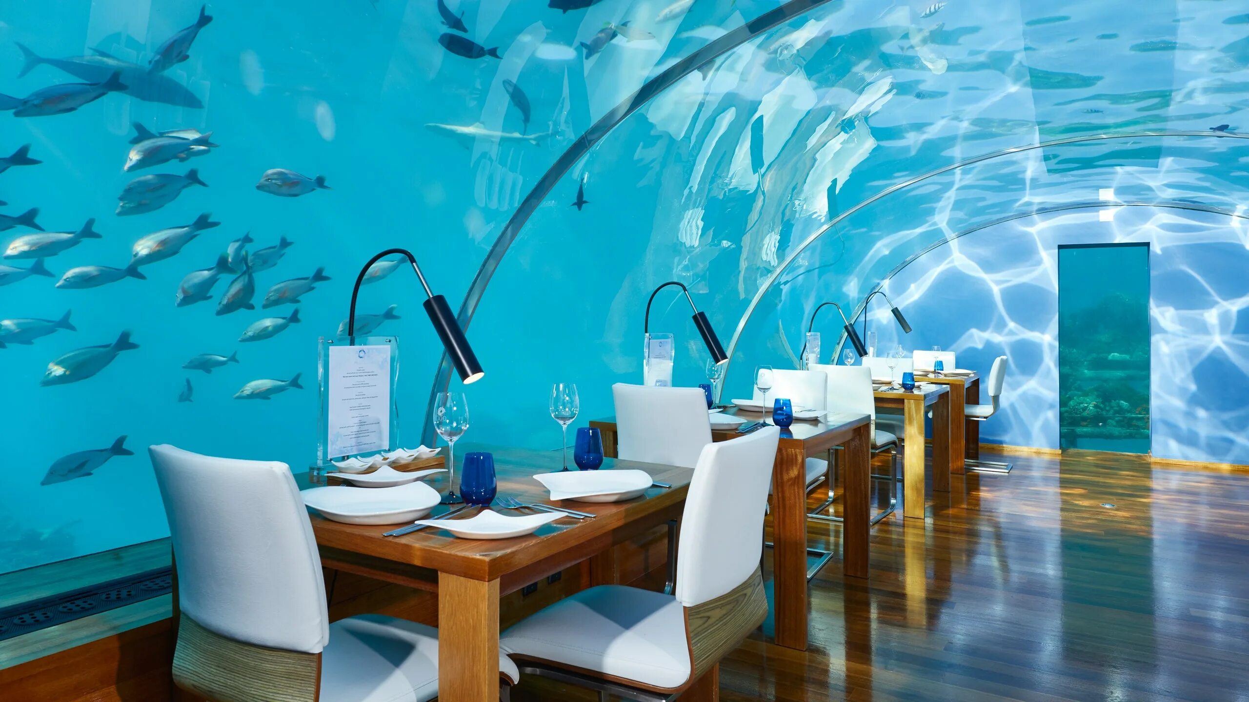 Подводный ресторан на мальдивах фото 11 underwater restaurants around the world Condé Nast Traveller Middle East