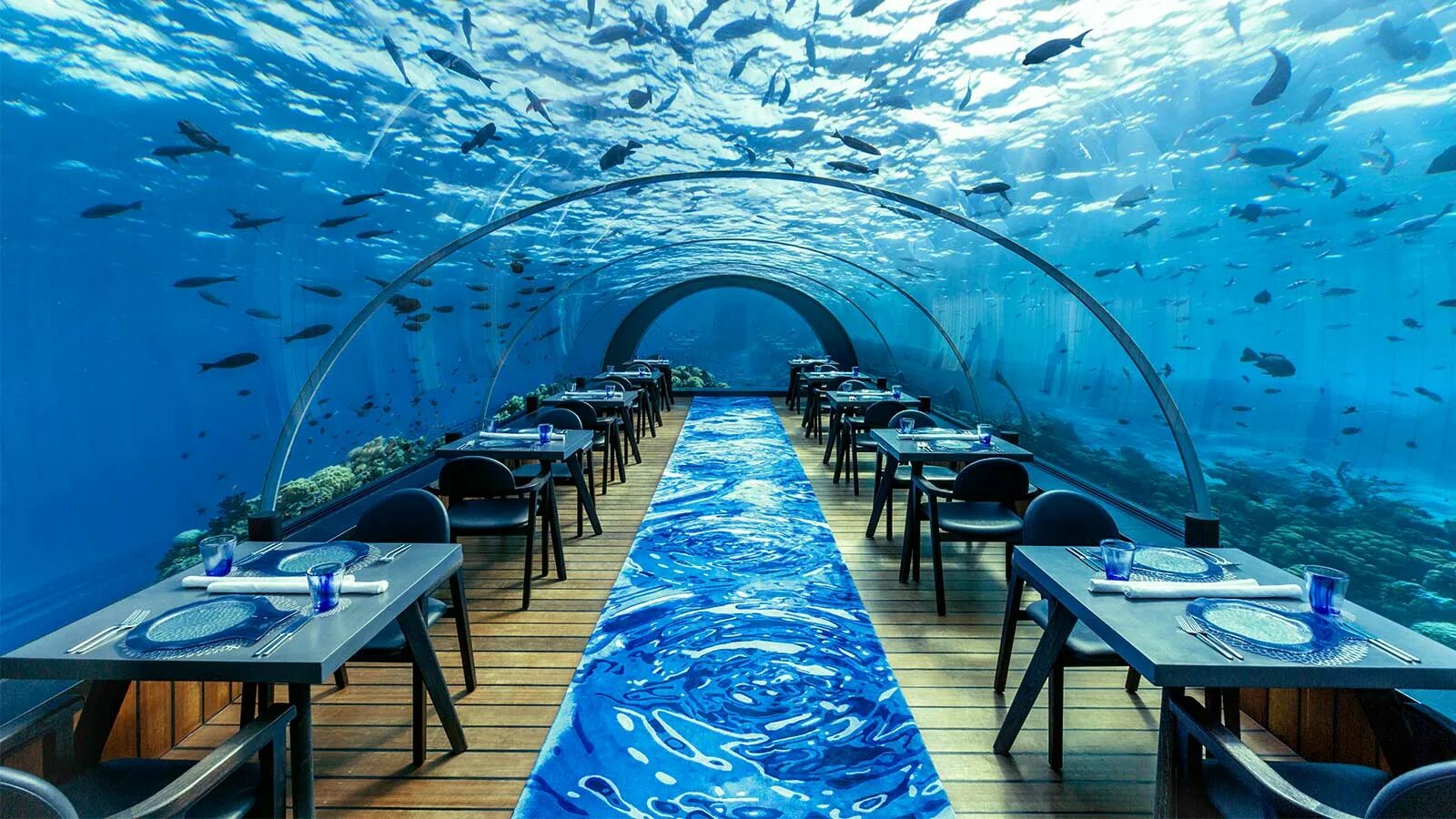 Подводный ресторан на мальдивах фото 5.8 Undersea Restaurant Hurawalhi Maldives - Hurawalhi