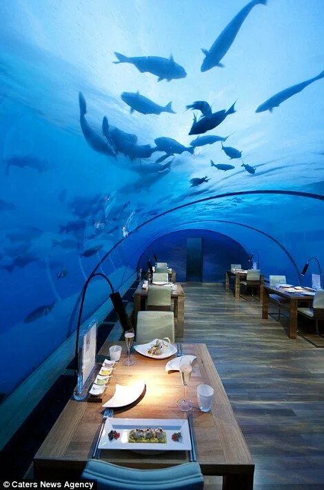 Подводный ресторан на мальдивах фото Inside the world's first all-glass underwater restaurant Underwater restaurant, 