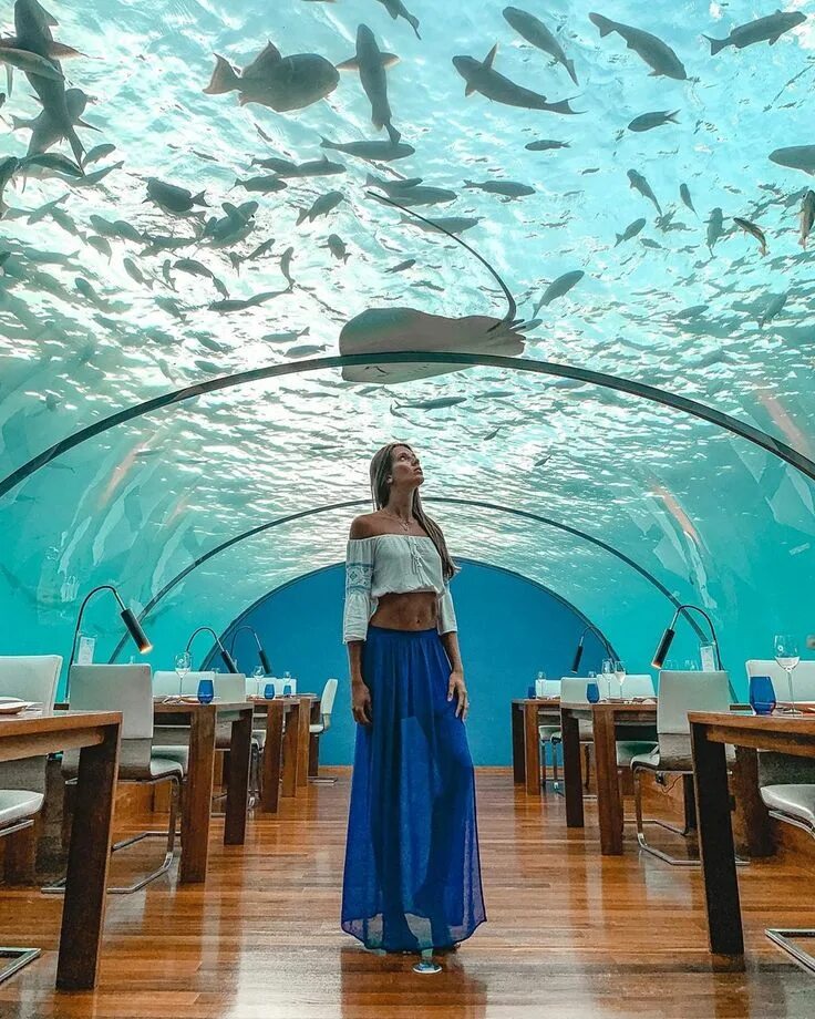 Подводный ресторан на мальдивах фото Pin on aesthetic ☑ Best resorts, Hawaii luau, Underwater restaurant