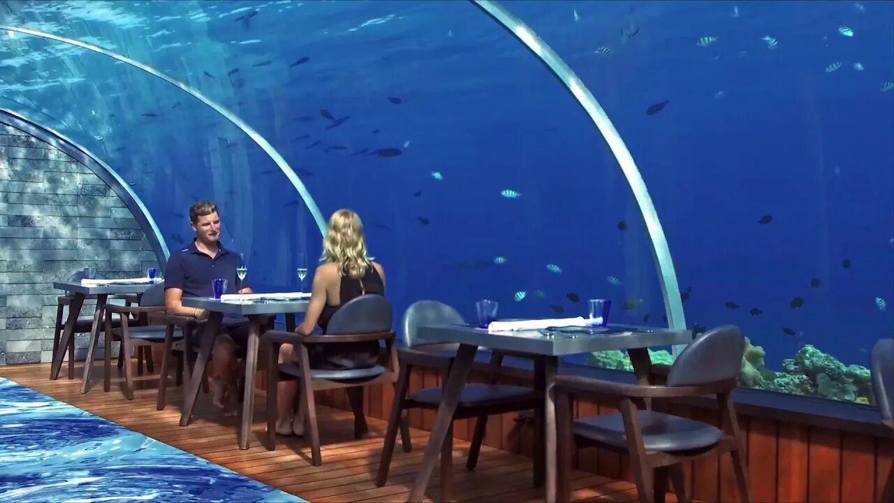 Подводный ресторан на мальдивах фото The Amazing 5.8 Undersea Restaurant at Hurawalhi Maldives - YouTube