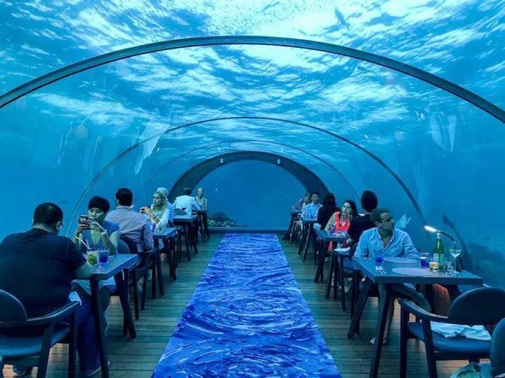 Подводный ресторан на мальдивах фото Undersea Restaurant, Hurawalhi, Maldives Water hotel, Underwater restaurant, Pla