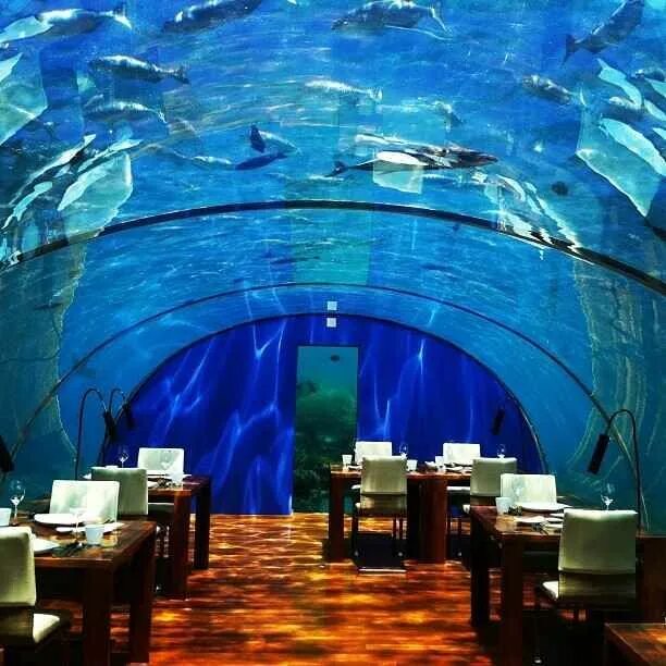 Подводный ресторан на мальдивах фото 6 Restaurants You Need To Eat At Once In Your Life Travel, Maldives island, Plac